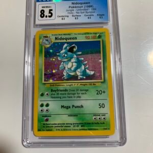 Nidoqueen No Symbol Error