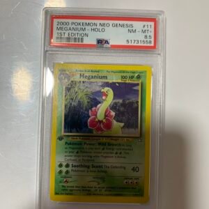 Meganium 1st edition