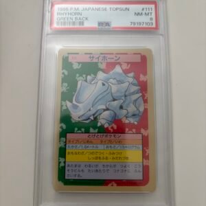 Rhyhorn topsun